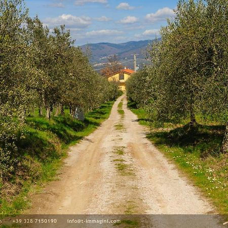 Bioagriturismo Poderaccio Incisa in Val d'Arno Екстер'єр фото