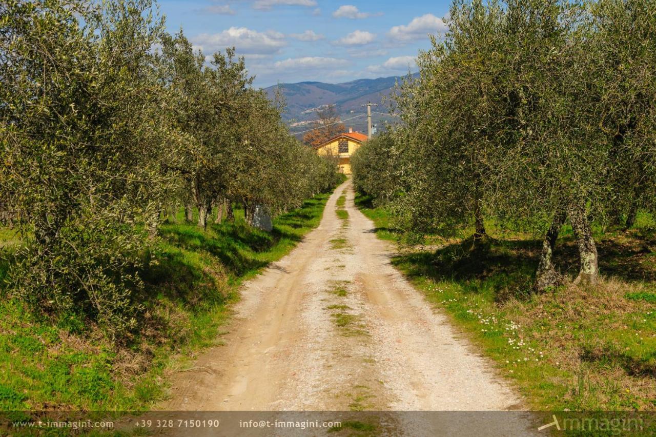 Bioagriturismo Poderaccio Incisa in Val d'Arno Екстер'єр фото