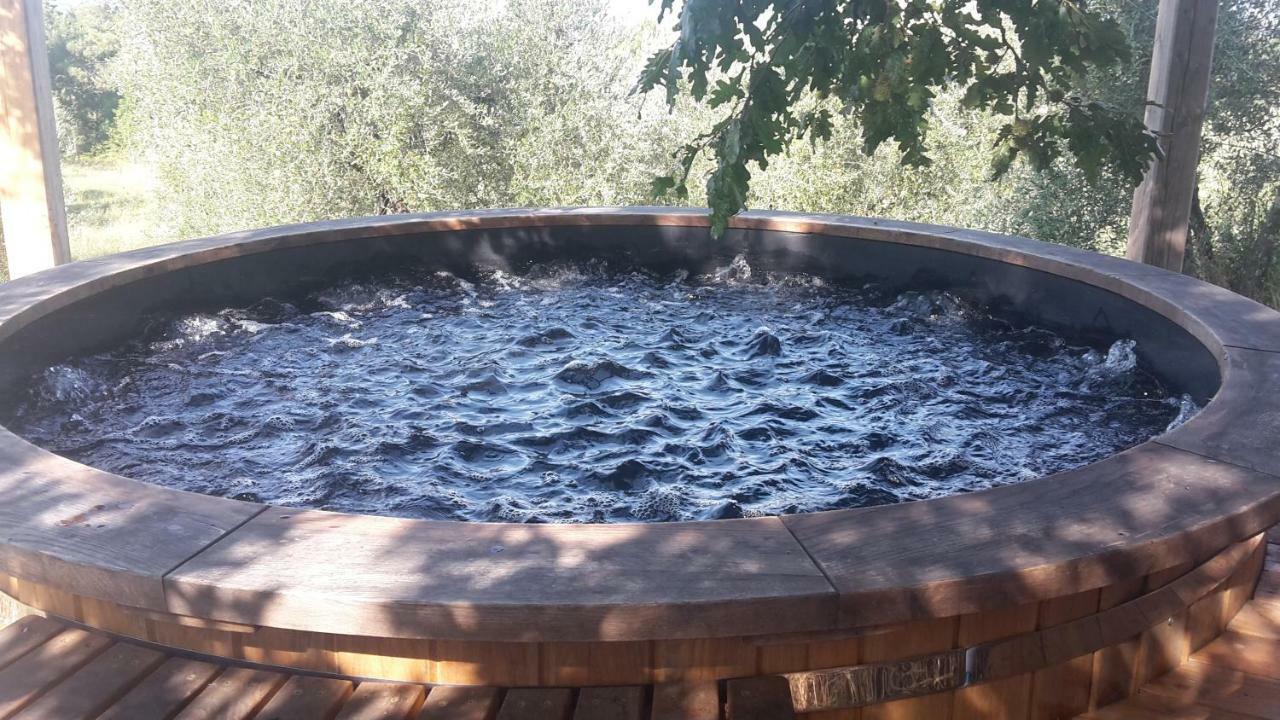 Bioagriturismo Poderaccio Incisa in Val d'Arno Екстер'єр фото