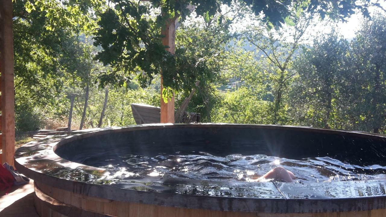 Bioagriturismo Poderaccio Incisa in Val d'Arno Екстер'єр фото
