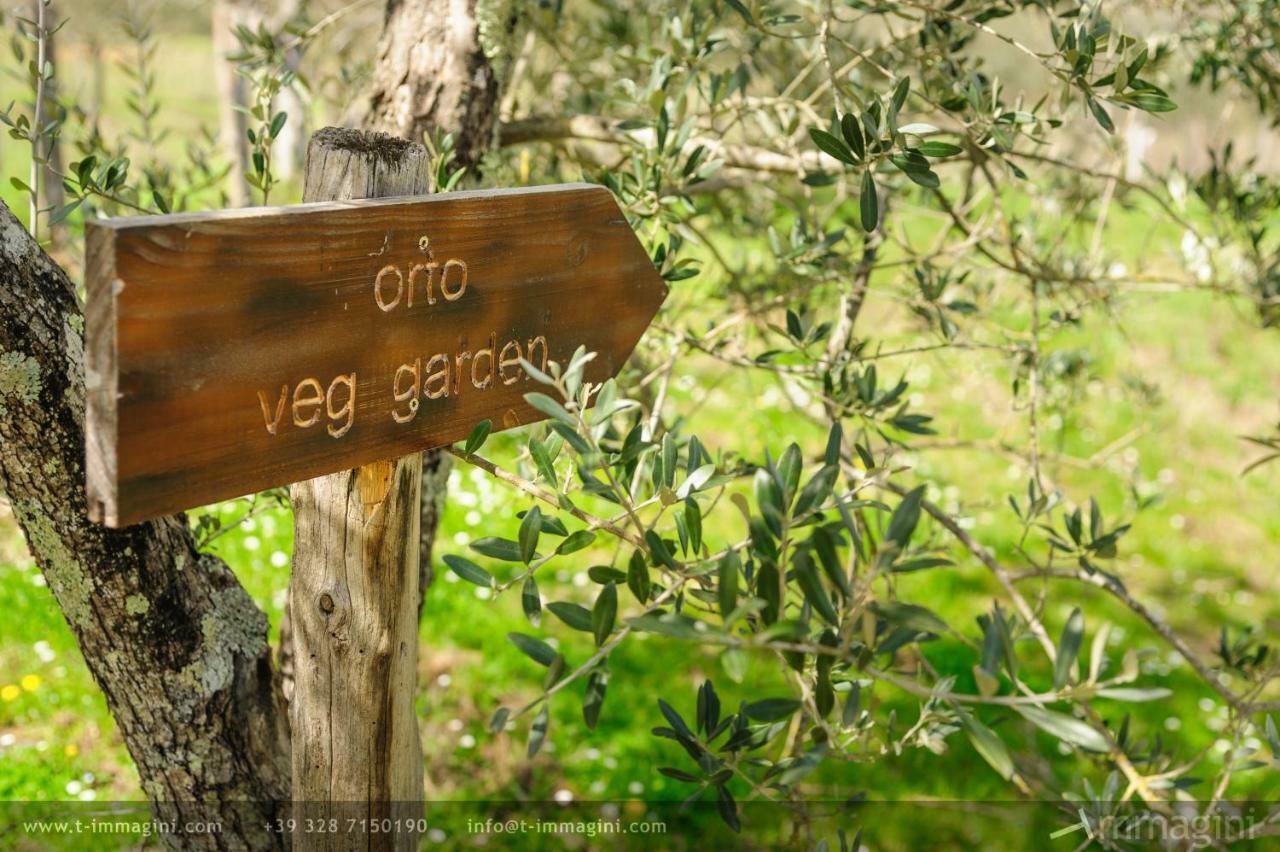 Bioagriturismo Poderaccio Incisa in Val d'Arno Екстер'єр фото